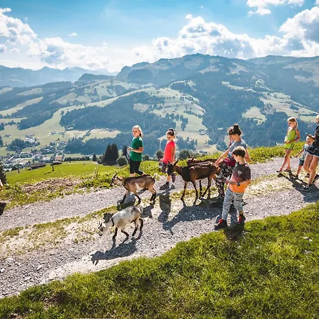 Straif By Interhome Appartement