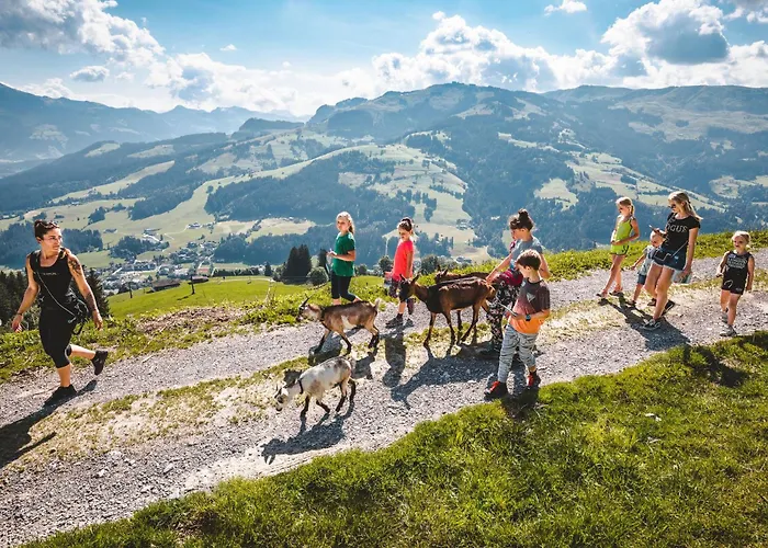 Straif By Interhome Appartement